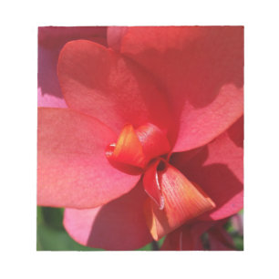bright red petals notepad