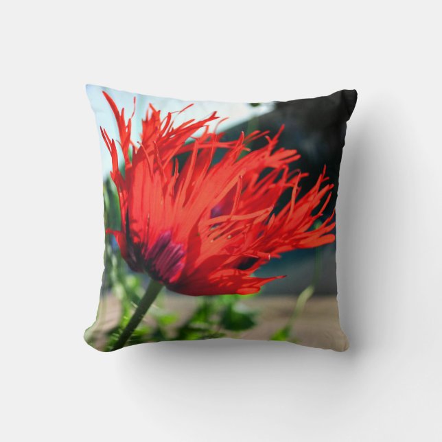 Bright Red Poppy Flower Cushion (Front)