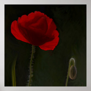 Bright red poppy on dark background painting. poster