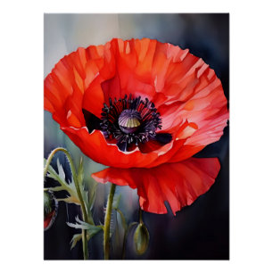 Bright Red Poppy with Dark Centre Poster