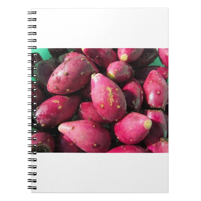 Bright Red Prickly Pear Cactus Fruit Notebook (Front)