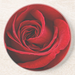 Bright Red Rose Close Up Coaster