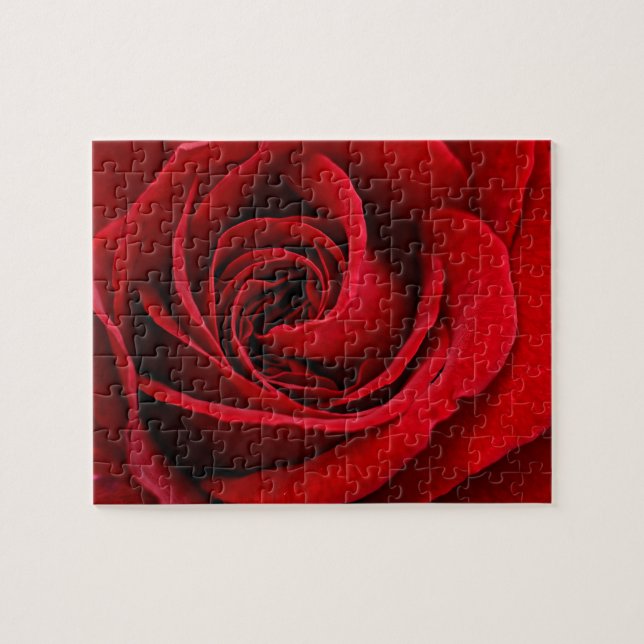 Bright Red Rose Close Up Jigsaw Puzzle (Horizontal)