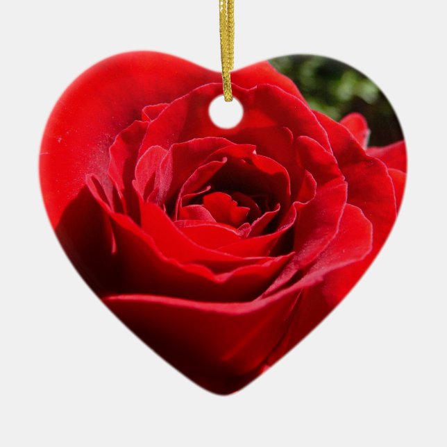 Bright Red Rose Flower Beautiful Floral Ceramic Tree Decoration (Front)