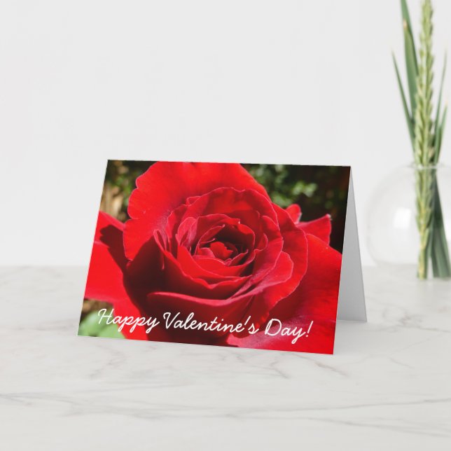 Bright Red Rose Flower Beautiful Floral Holiday Card (Front)