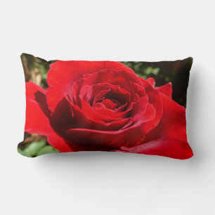Bright Red Rose Flower Beautiful Floral Lumbar Cushion