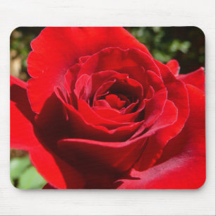 Bright Red Rose Flower Beautiful Floral Mouse Pad