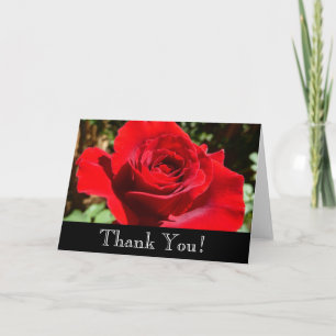 Bright Red Rose Flower Beautiful Floral Thank You Card