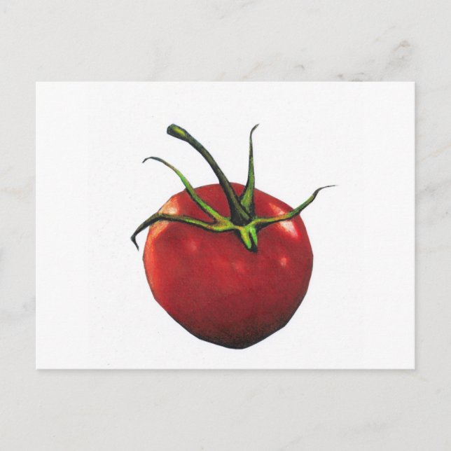 BRIGHT RED TOMATO POSTCARD (Front)