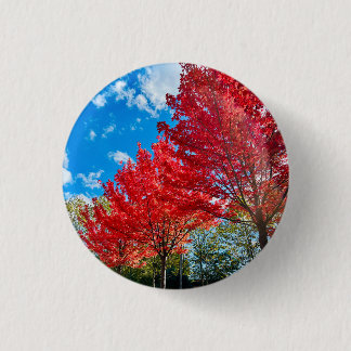 Bright Red Tree Leaves In Autumn 3 Cm Round Badge