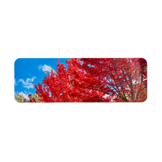 Bright Red Tree Leaves In Autumn Return Address Label