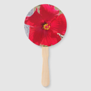 bright red tropical hibiscus flower on a fan