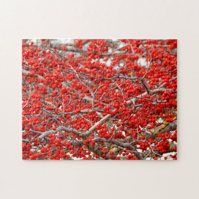 Bright Red Winterberries Holly Tree Berries Jigsaw Puzzle (Horizontal)