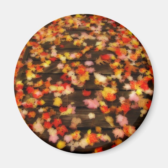 Bright Red Yellow Autumn Maple Leaves Magnet (Front)