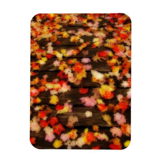 Bright Red Yellow Autumn Maple Leaves Magnet (Vertical)