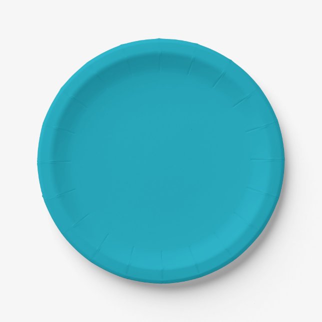 Bright Rich Sky Blue Paper & Party Plates (Front)