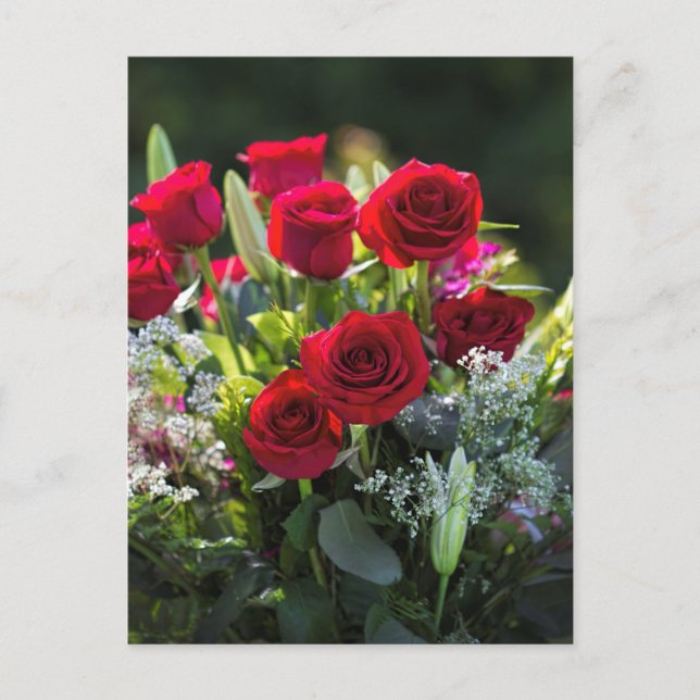Bright Romantic Red Rose Bouquet Postcard (Front)