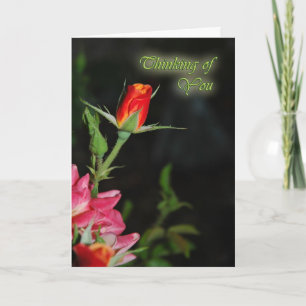 Bright Rose Sympathy Greeting Card