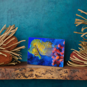 Bright Seahorse   Hippocampus Plaque