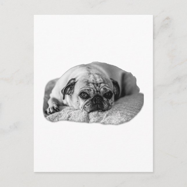 Bright Sentiment, Soft Reminder Postcard (Front)