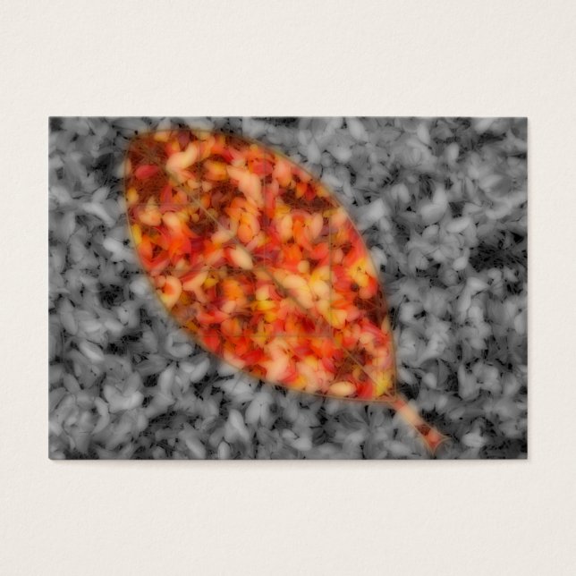 Bright Shadows Bookmarks (Front)