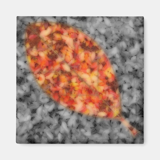 Bright Shadows Magnet (Front)