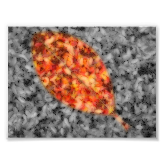 Bright Shadows Photo Print (Front)