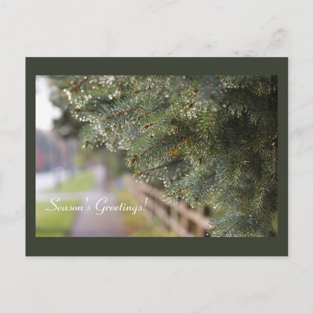 Bright Shimmering Evergreen Needles Modern Holiday Postcard (Front)
