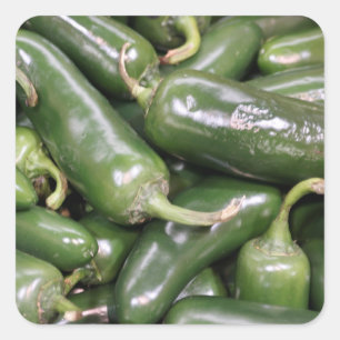 Bright Shiny Green Jalapeno Peppers Pile Photo Square Sticker