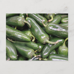 Bright Shiny Green Jalapeno Peppers Still Life Postcard