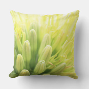 Bright Summer Agave Flower Cushion