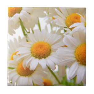 Bright Summer Daisies Photo Ceramic Tile