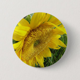 Bright sunflower 6 cm round badge