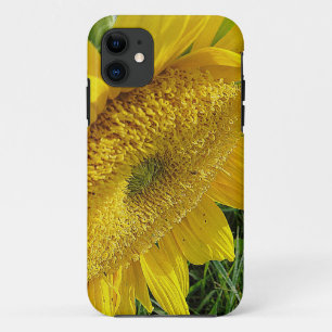 Bright sunflower iPhone 11 case