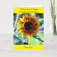 Bright Sunflower - Floral Photography
