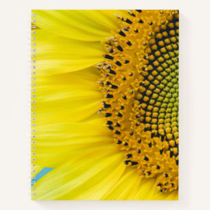 Bright Sunflower Notebook