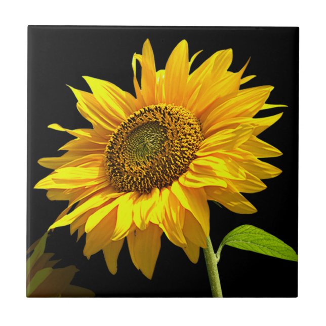 Bright Sunflower on Black Background Ceramic Tile (Front)