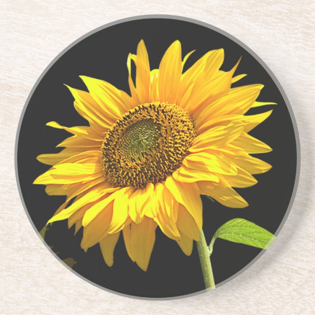 Bright Sunflower on Black Background Coaster (Front)