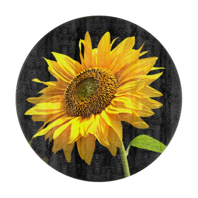 Bright Sunflower on Black Background Cutting Board (Front)