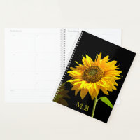Bright Sunflower on Black Background