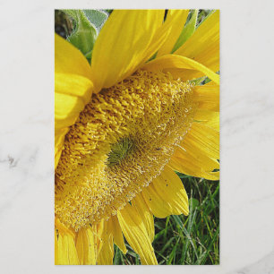 Bright sunflower stationery