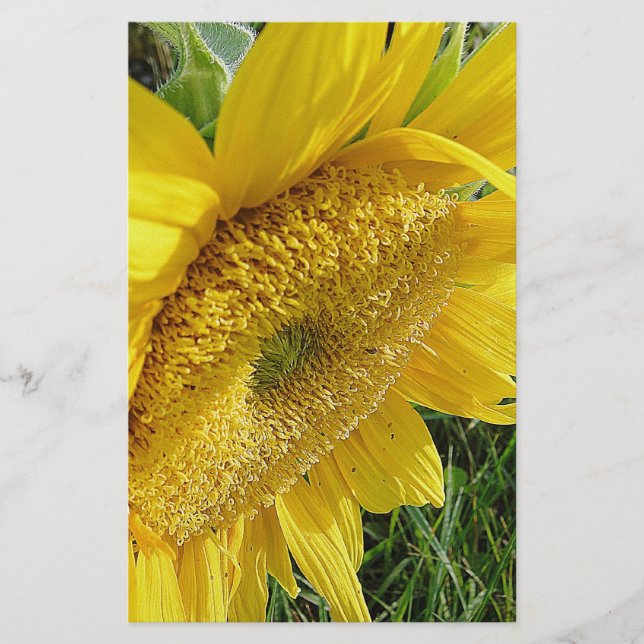 Bright sunflower stationery (Front)