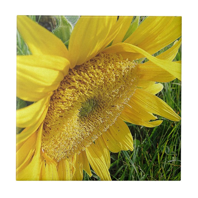 Bright sunflower tile (Front)