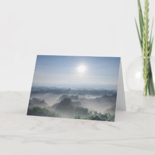 Bright Sunlight in the Bamboo Trees Taiwan Card