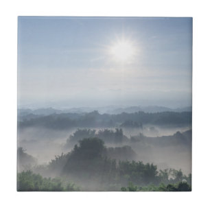 Bright Sunlight in the Bamboo Trees Taiwan Ceramic Tile