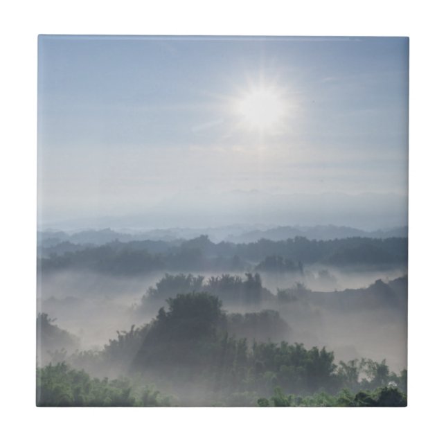Bright Sunlight in the Bamboo Trees | Taiwan Ceramic Tile (Front)