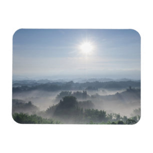 Bright Sunlight in the Bamboo Trees Taiwan Magnet