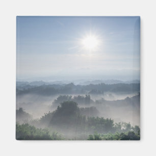 Bright Sunlight in the Bamboo Trees Taiwan Magnet