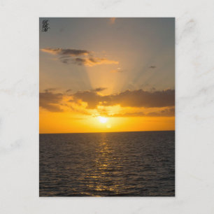 Bright Sunset on the Ocean Postcard