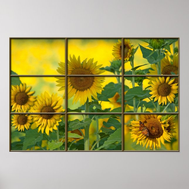 Bright Sunshiny Day Poster (Front)